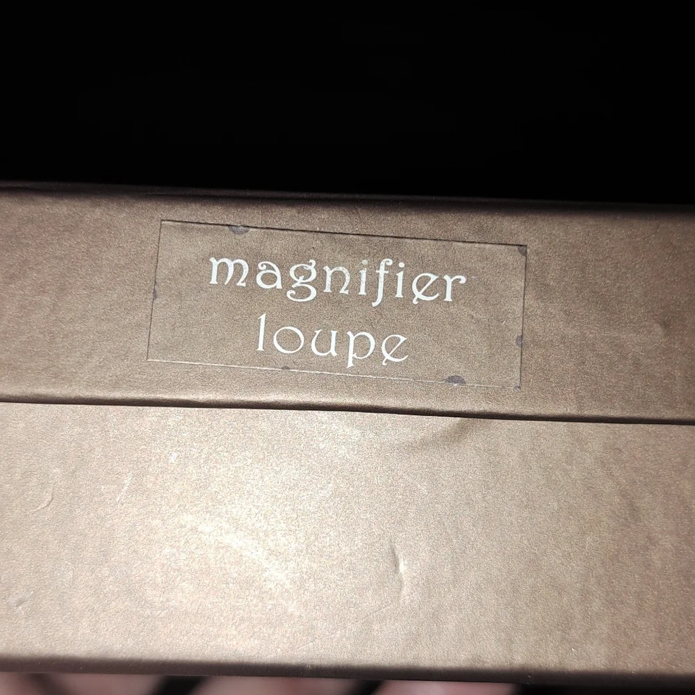 Glass Pier 1 Imports GILLY Fish Magnifier Loupe Magifying Blown Glass